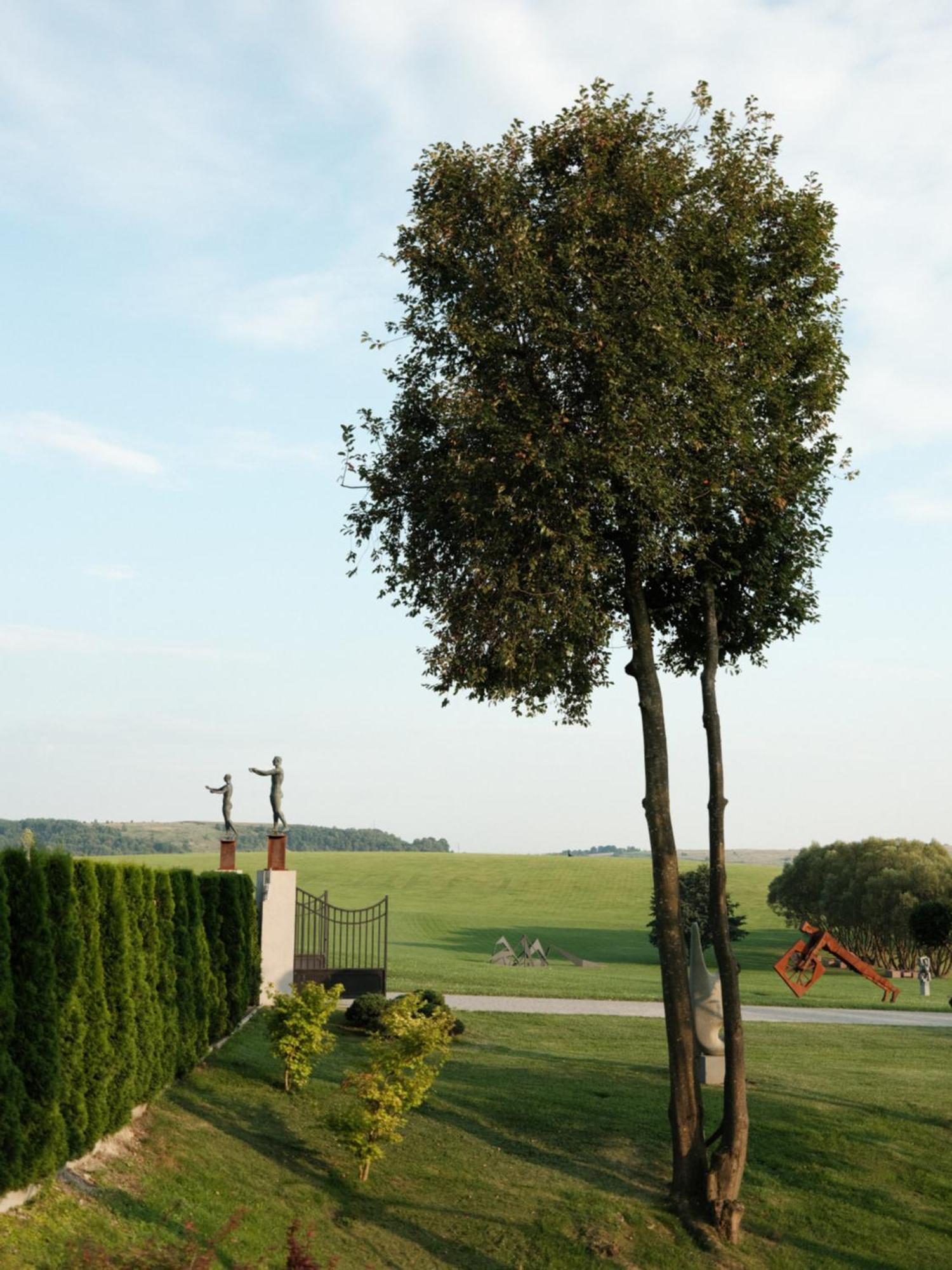 Edem Resort Medical & Spa Strelki  외부 사진