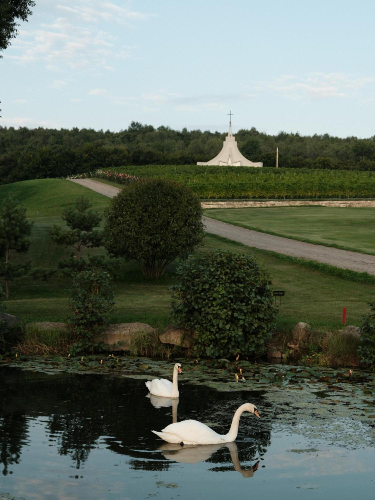 Edem Resort Medical & Spa Strelki  외부 사진
